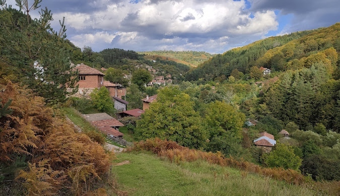 Жители на благоевградското село Раздол сигнализират за системен тормоз от животновъд