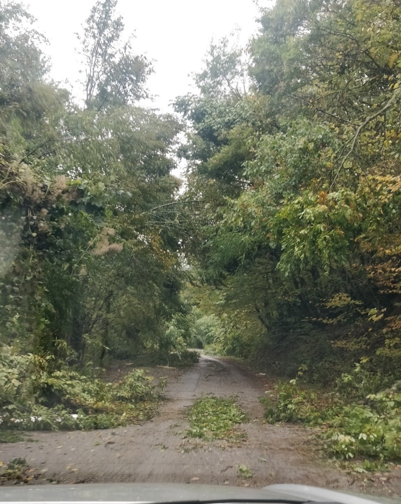 Продължава възстановяването на тока в трънските села