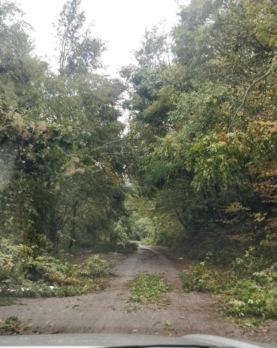 Продължава възстановяването на тока в трънските села