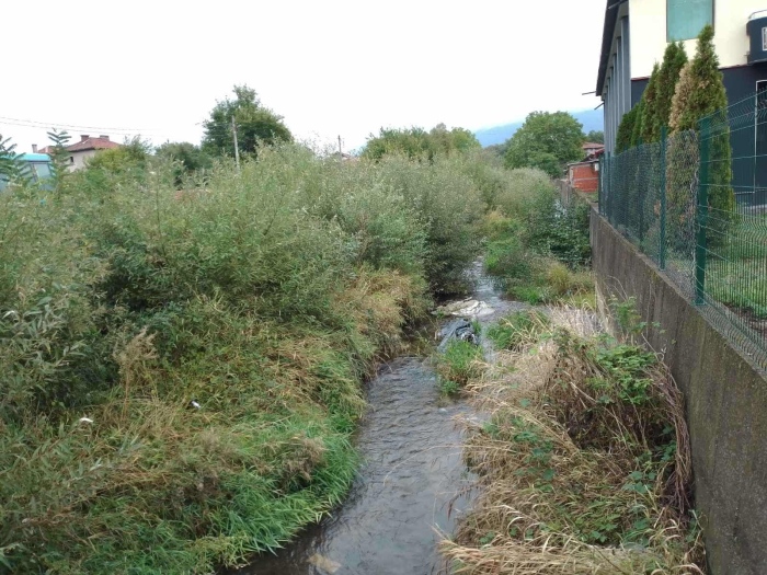 Речни корита, обрасли с храсти и дървета, застрашават населени места в Дупнишка община