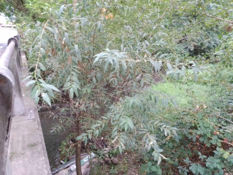 Пожарникари в Кюстендилско проверяват речните корита и мостове, сигнализират общините на постоянно наблюдение