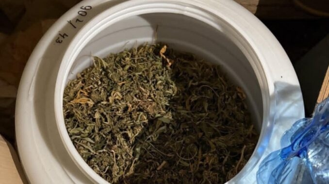 Близо 10 килограма канабис откриха в бидон край санданското село Виногради