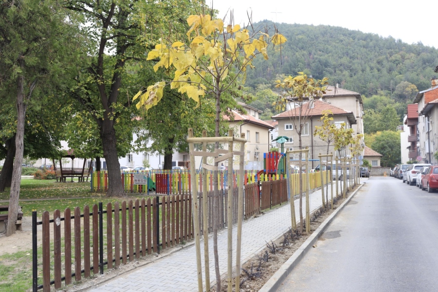 Зелено! Още дървета и храсти засадиха в Благоевград