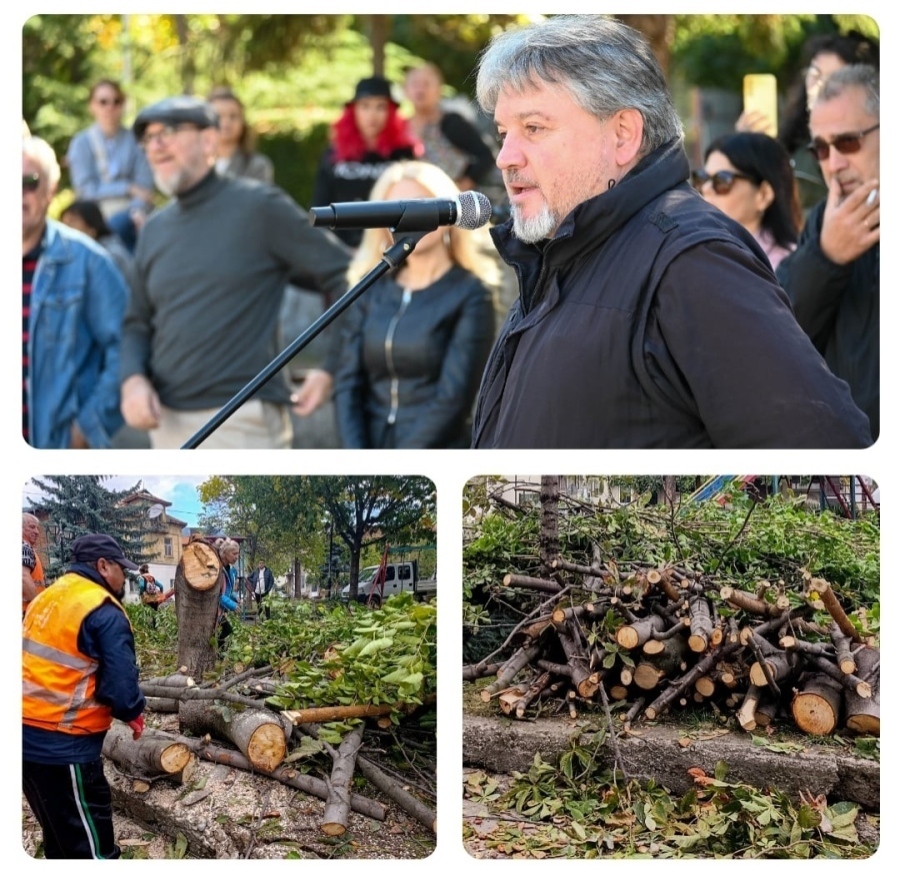 Реакции след бруталната сеч в Дупница! Председателят на „КОД” в Кюстендилско Асен Кирилов призовава кмета за незабавно прекратяване на всяко унищожение на дървета