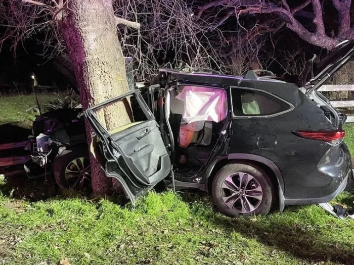 Трима загинаха, след като младеж с един ден стаж зад волана, заби колата си в дърво