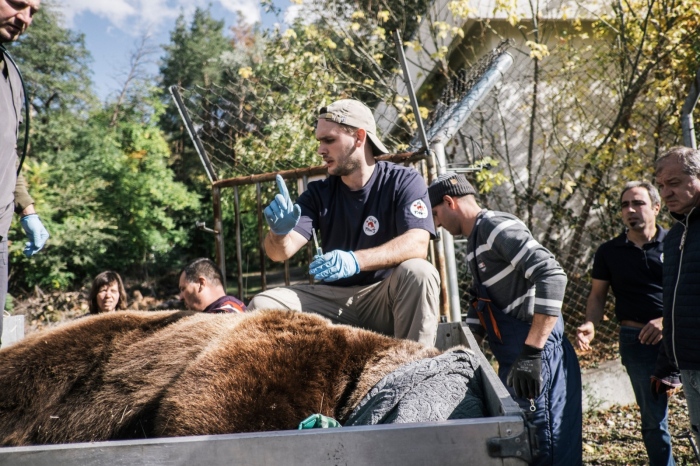„Четири лапи” подкрепи Зоопарк Благоевград с грижа за мечките