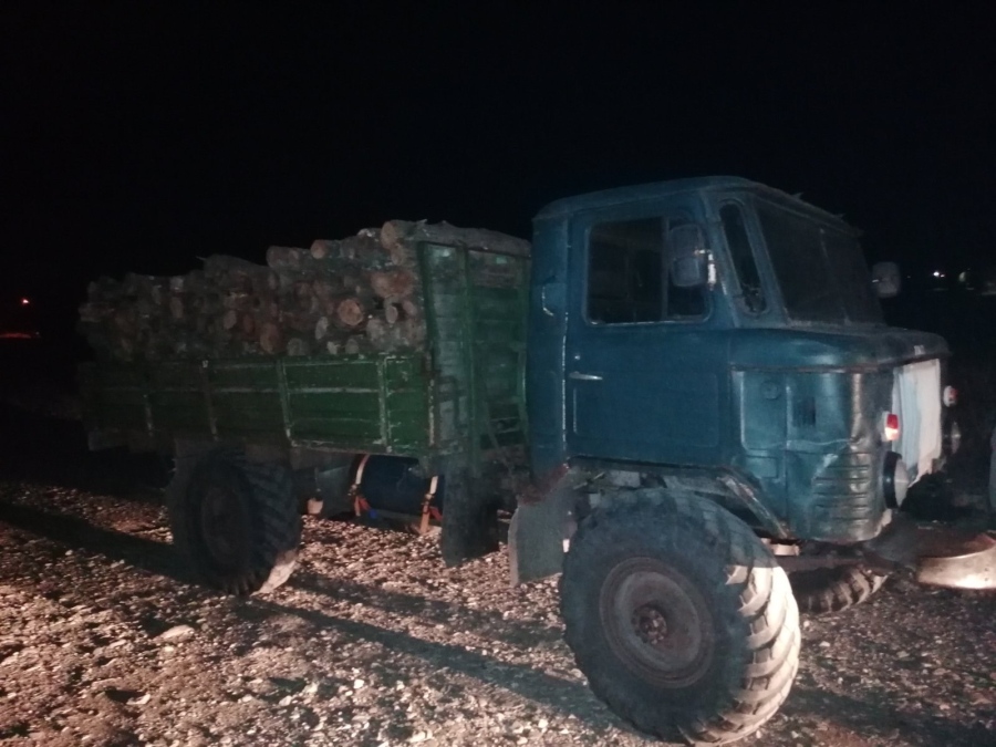 Спипаха бракониер без книжка в Самоков, конфискуваха му камиона и дървата