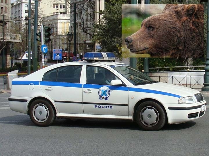 Обезглавиха мечка в Гърция, издирват бруталните убийци