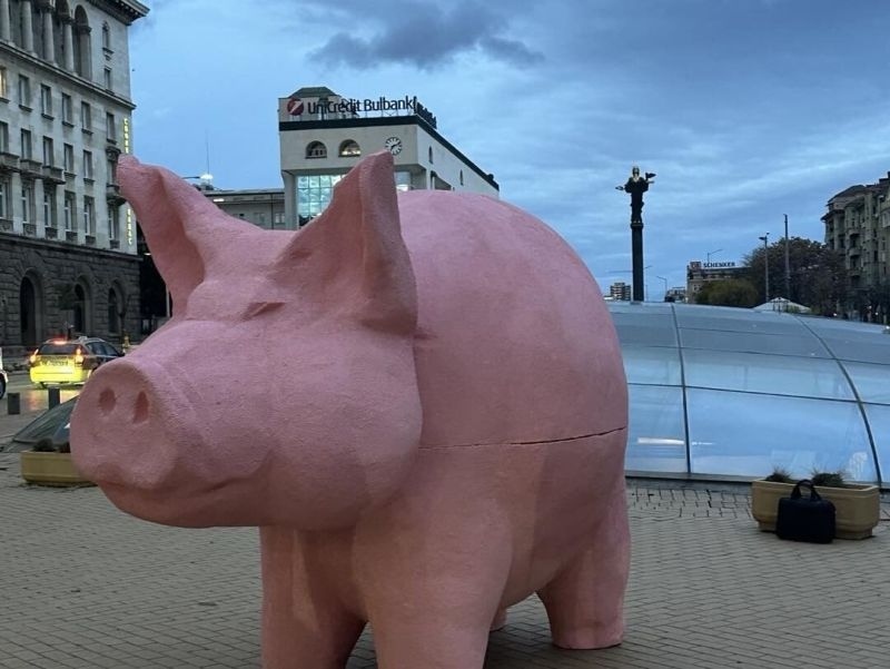 Прасе касичка пред парламента поставиха младежи в София, по заръка на ПП