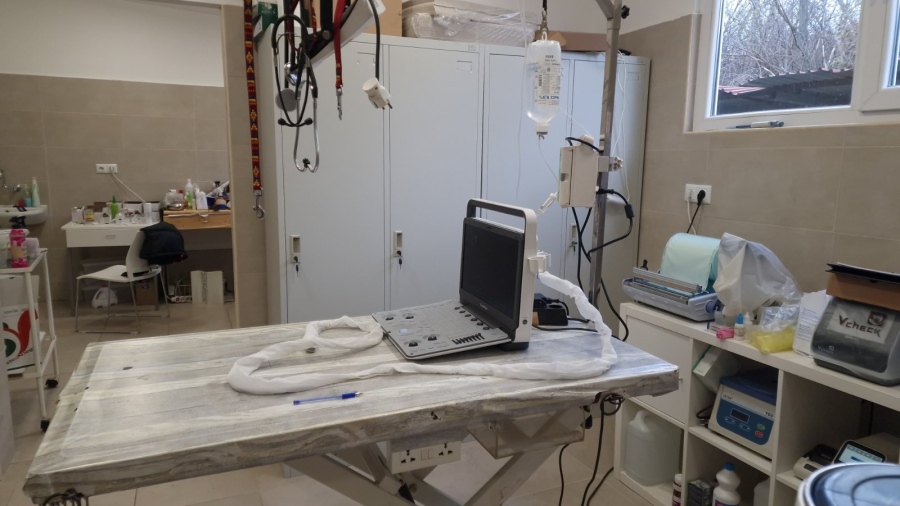 Като в човешка болница: Приютът в Перник вече има ехограф, операционна маса и инхалационна анестезия