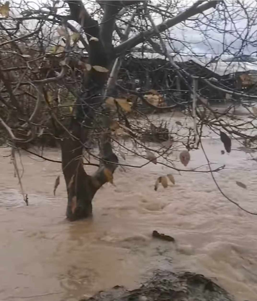 Внимание, поройни валежи! Реки преляха в сандански села, улици са под вода
