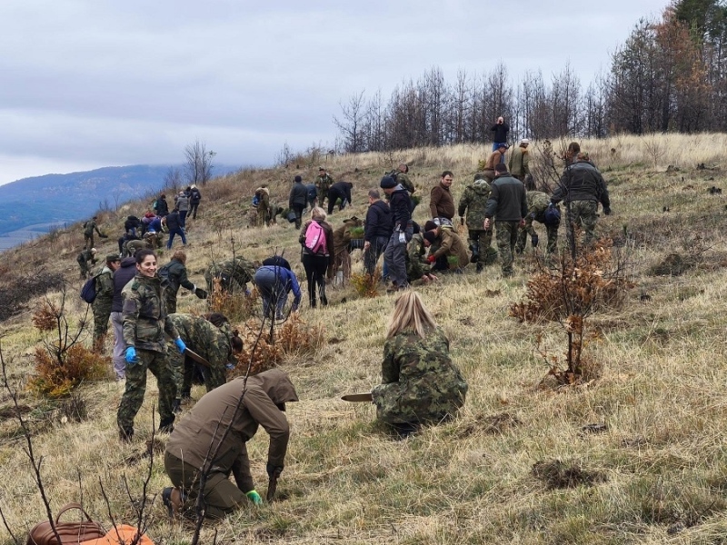  Горски и военни ще залесяват опожарената гора край Симитли