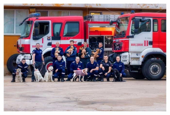 Пожарникари гушкат кученца в благотворителен календар