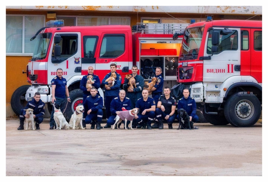 Пожарникари гушкат кученца в благотворителен календар