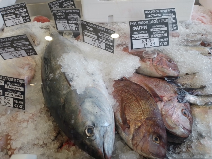 Шаранът остава предпочитаната риба за Никулден в Дупница