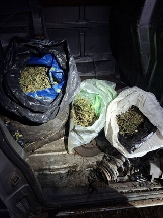 Полицейски удар в Бобов дол ! Иззеха 8 кг марихуана от имоти в Паничарево и фиат \