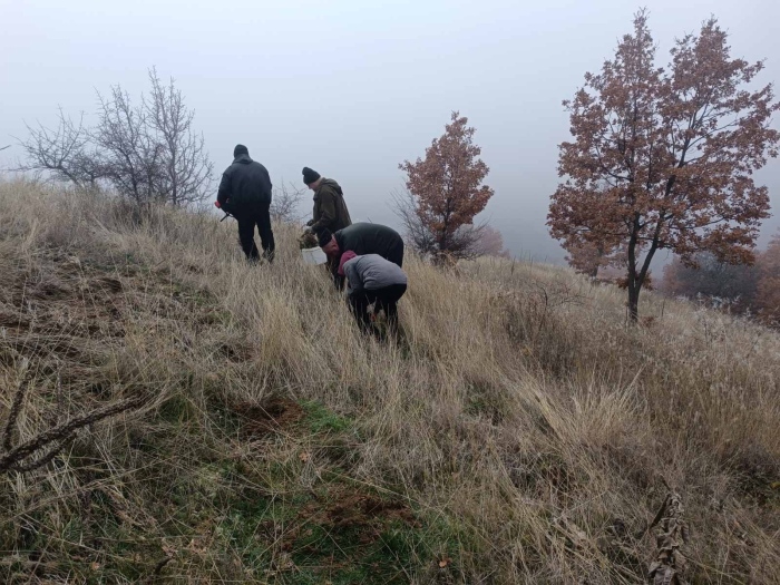  ДГС „Рилски манастир“ залеси 80 дка с дъб и бор