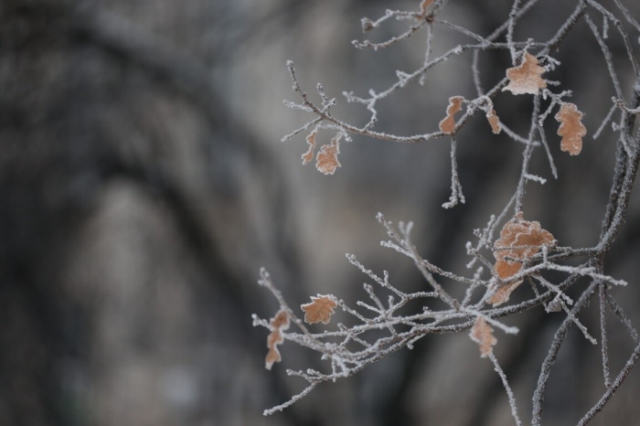 Слънчево и студено време без сняг до Нова година