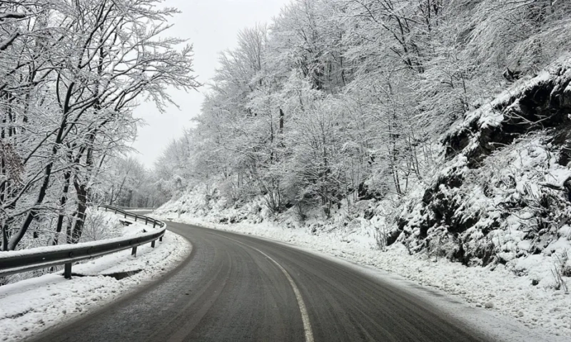 Причина за прекъсванията на тока по Коледа във Врачанско е обилният снеговалеж