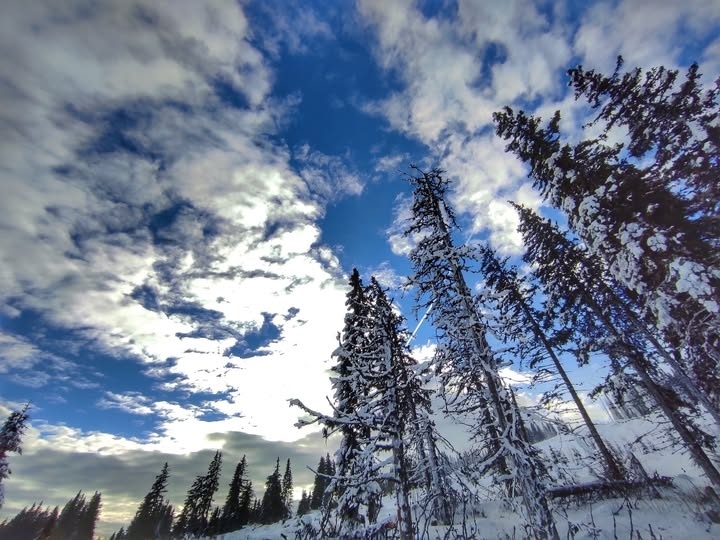 Облачно със силен вятър в събота, температурите ще се повишат