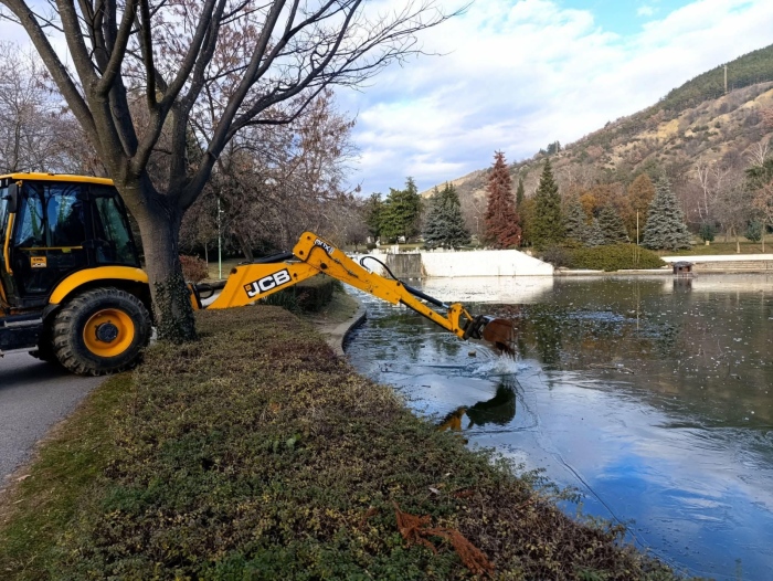 Разбиха ледената покривка на езерото в парк „Свети Врач“, спасяват птиците от премръзване
