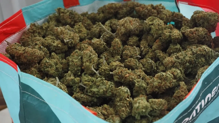 Задържаха мъж с над 9 кг марихуана по главния път за Гърция