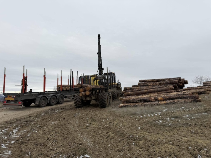 В Пирин разчистват  изгорялата дървесина  при тежки зимни условия