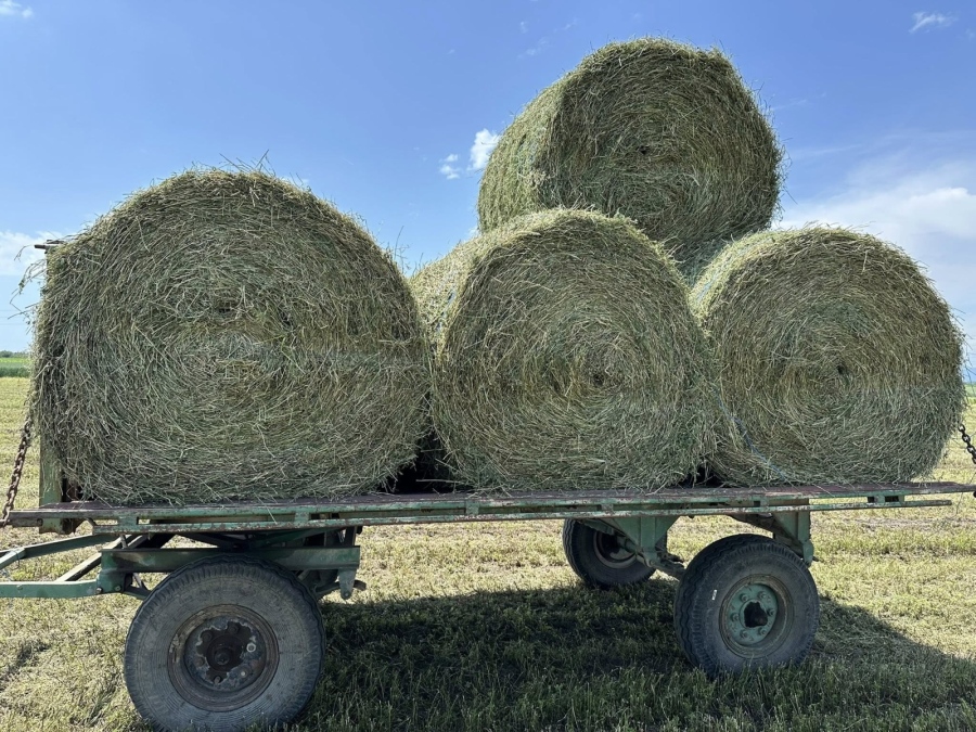 Крадец от Ихтиман отмъкнал бали с люцерна, спипаха го