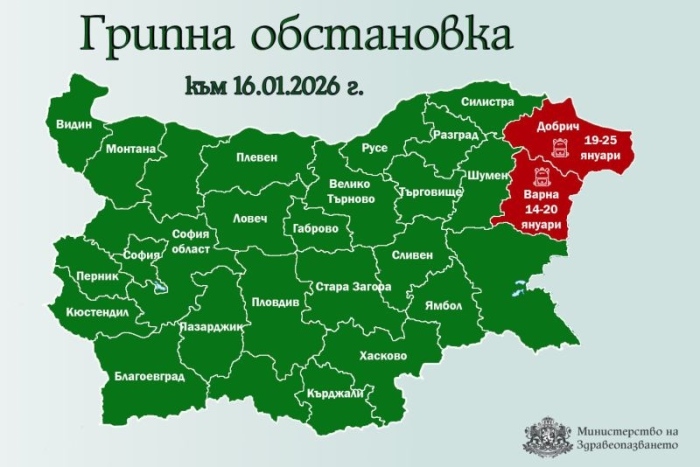 Обявиха грипна епидемия и в област Добрич