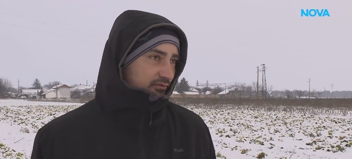 Абсурд в Кнежа: Земеделец заравя 50 тона зеле заради ниски изкупни цени