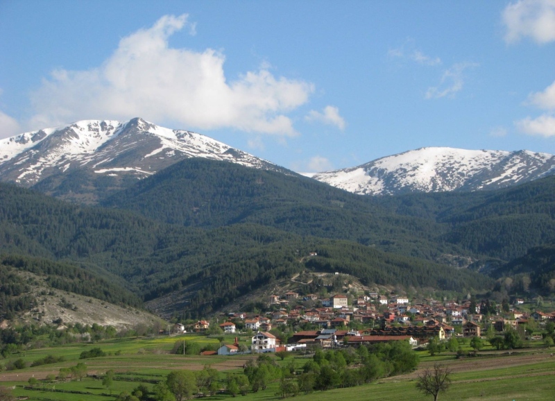 Обещано: ЕРМ \