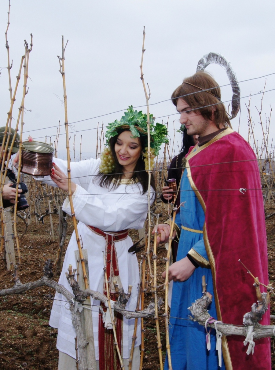 Югозападът посреща Трифон Зарезан с винени празници, конкурси и отворени изби