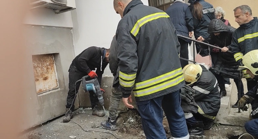 Зазидаха живо коте в стена: Стояло така 9 дни