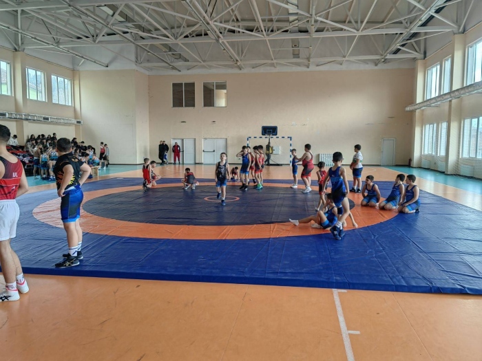 Млади борци се пребориха за медали на Празника на телешкото в Краище