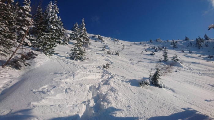 ПСС осигурява охрана на ски зона „Картала“ през уикендите