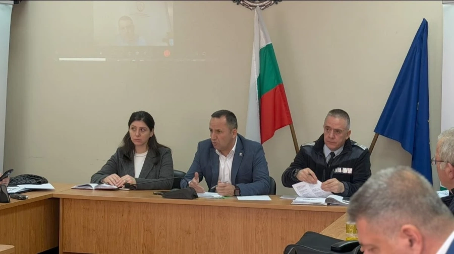 Спад на катастрофите в Благоевградско, животните на пътя остават сериозна опасност
