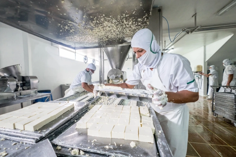 Млекопроизводството пред катастрофа: Производството на млечни продукти е спаднало с 25%, а вносът на мляко и продукти е скочил с 42%