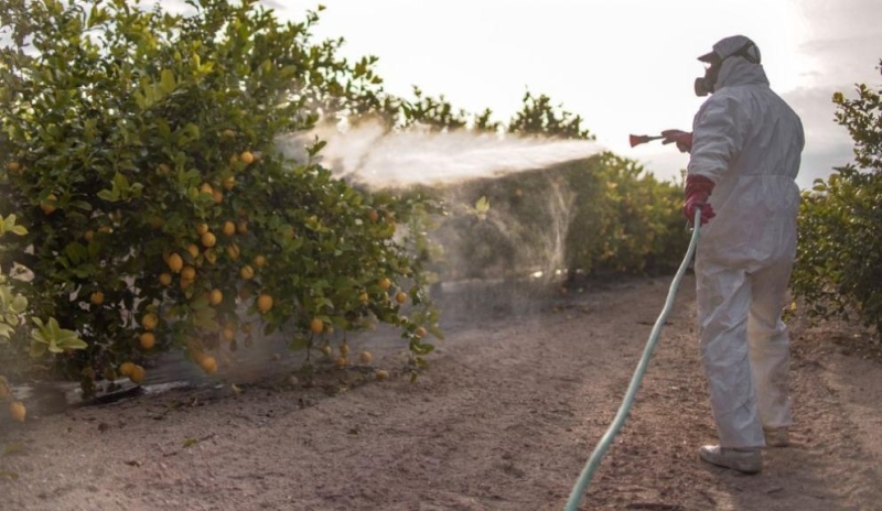 Плодове от Египет с високи нива на пестициди са открити в търговската мрежа в Румъния