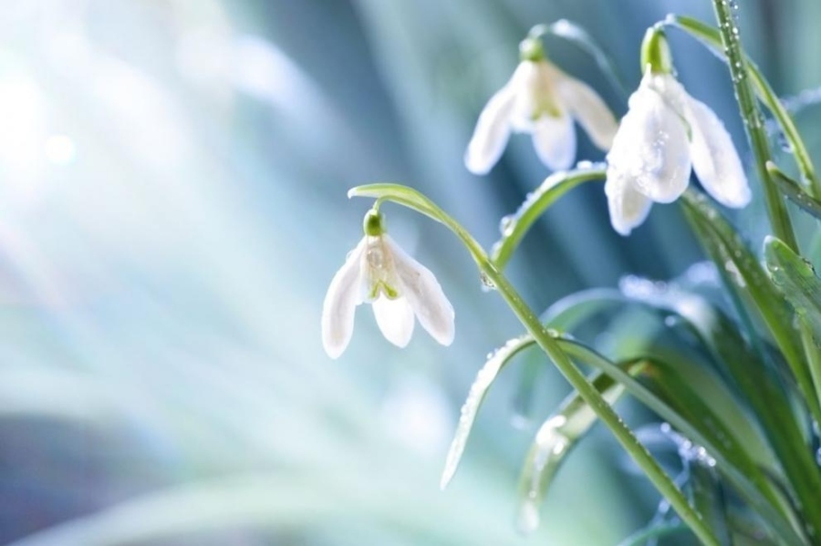Слънчево и високи температури за 14 февруари
