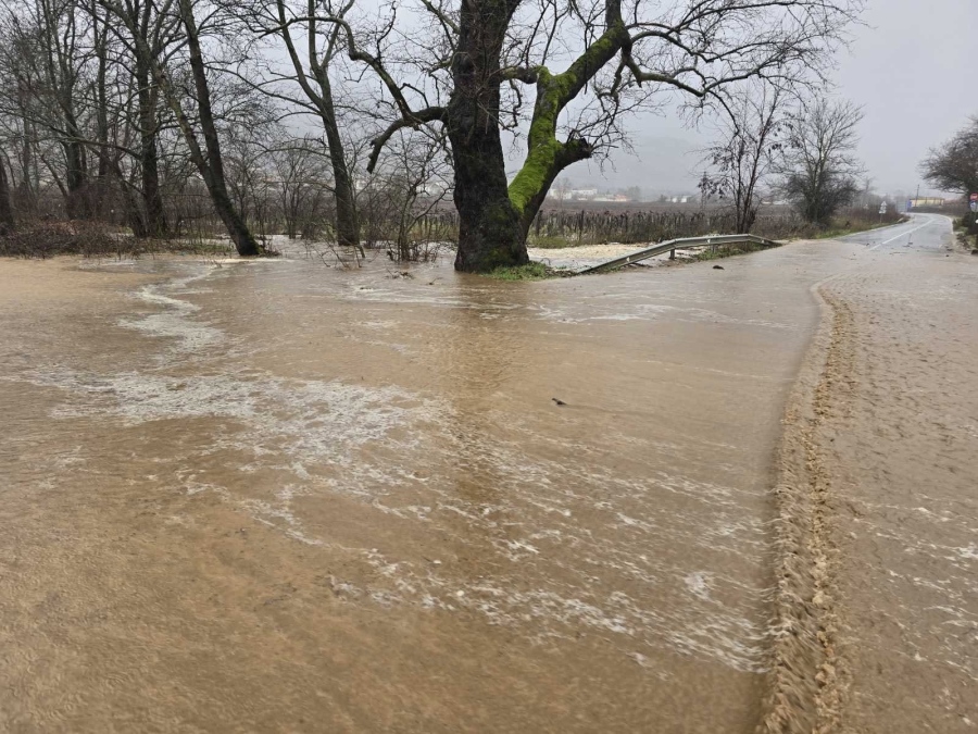 Потоп в Петричко! 86 литра дъжд заляха Беласица, реките рязко вдигат нивата си (ОБНОВЕНО)