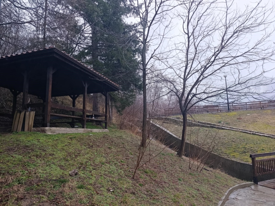 Общинските камери в парк „Рила”  не работят: Няма следи от престъпника пробол 26-годишната жена в Дупница