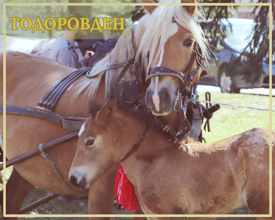 Банско празнува Тодоровден с шествие и ритуално захранване на конете