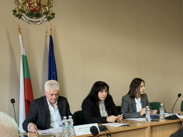 ЦИК решава състава на РИК - Кюстендил 