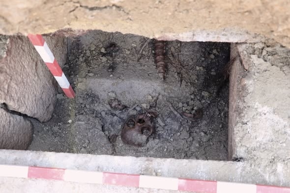 Ново откритие:И мулатка е живяла в античния град Хераклея Синтика