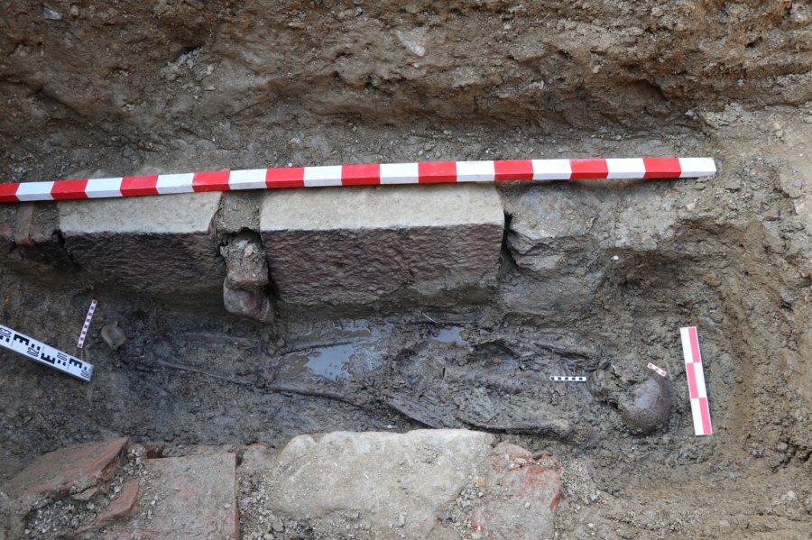 Откриха мулат левичар в Хераклея Синтика