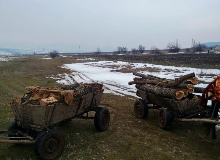 Откраднаха две каруци от двора на Горското в Гърмен