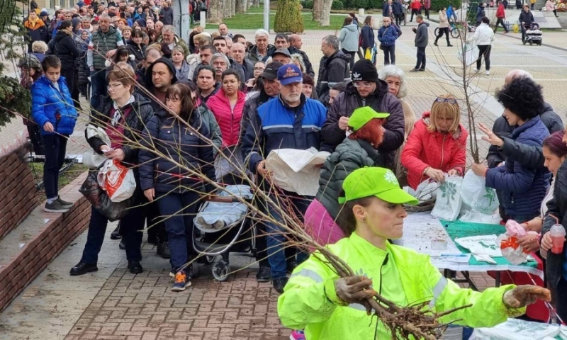 Зелен уикенд в Благоевград, Кюстендил и Перник: “Гората.бг“ подарява 48 000 дръвчета
