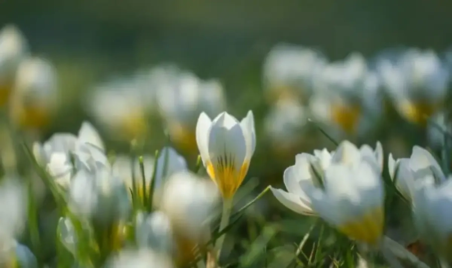 Температурите днес стигат до 17 градуса 