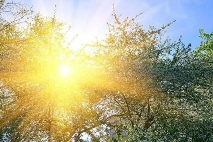 Слънчева сряда, температурите скачат до 18°