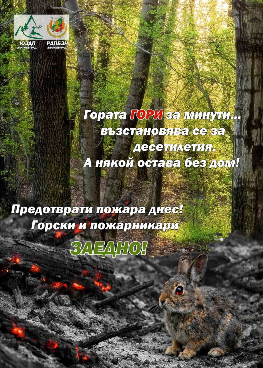 След бедствието в Пирин: Горски и пожарникари започват мащабна кампания „очи в очи“